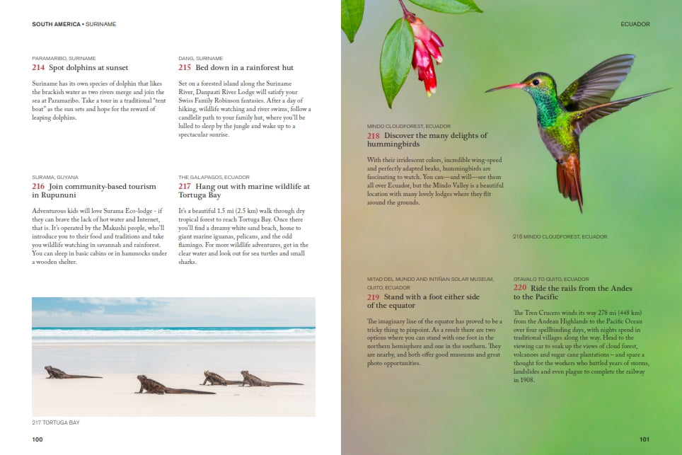 The Family Bucket List