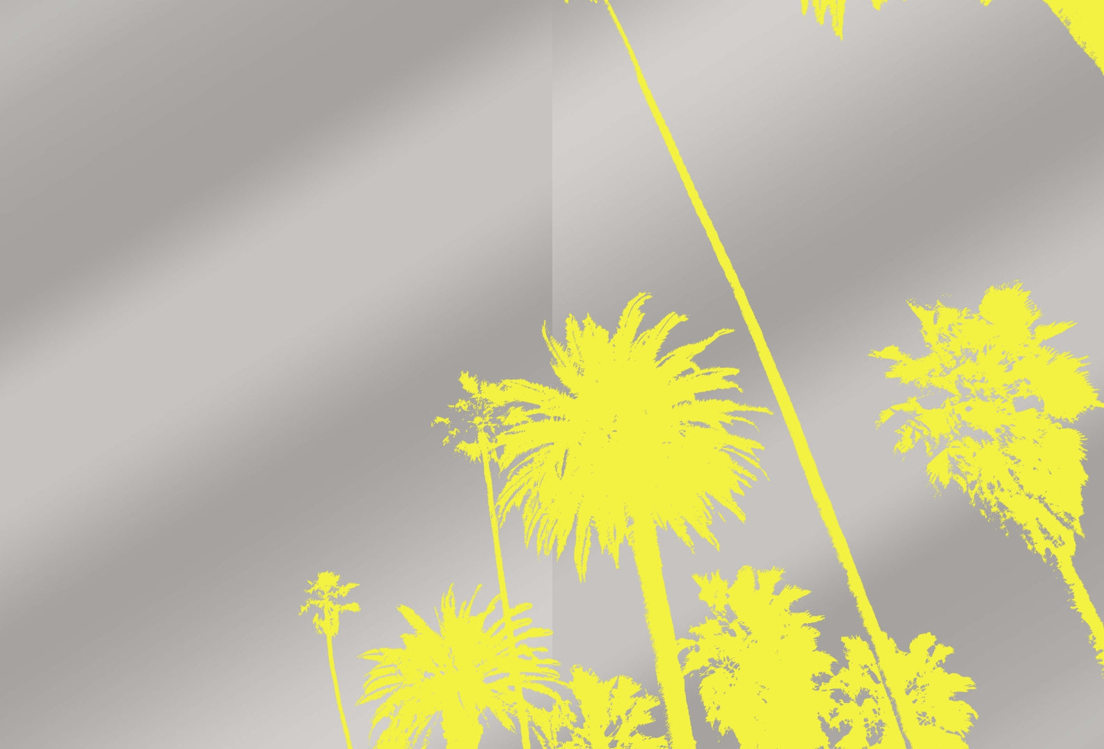 Decoding Palm Culture