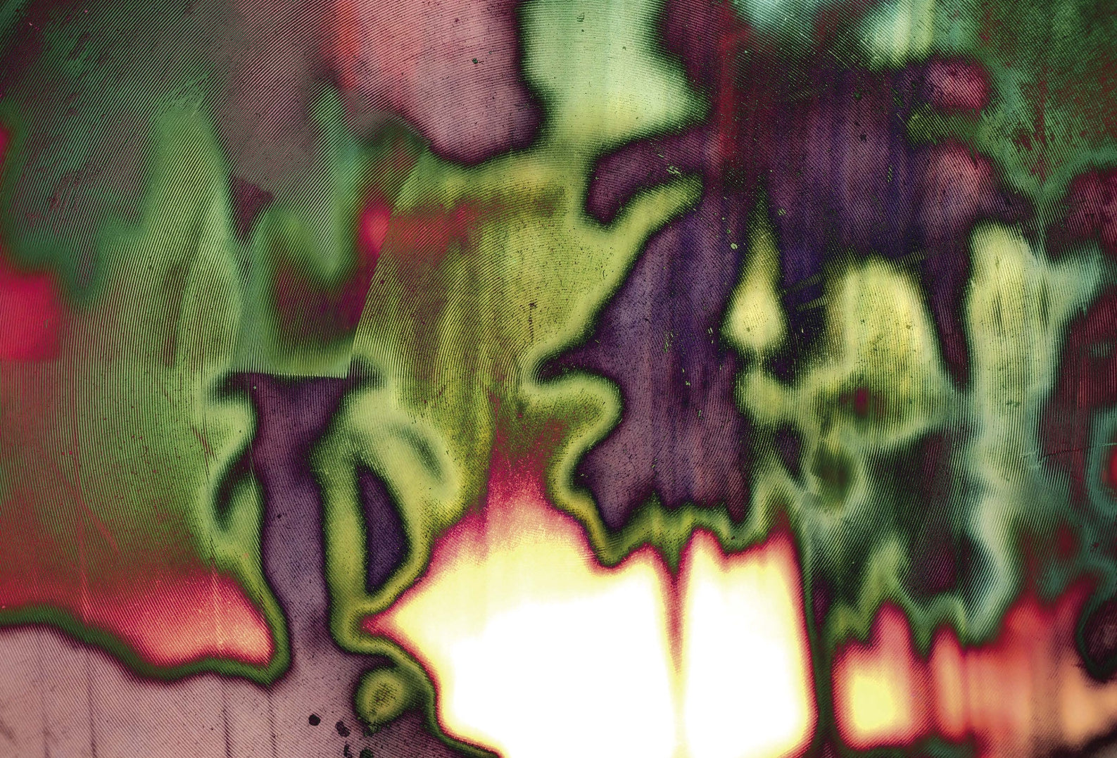 Decoding Palm Culture