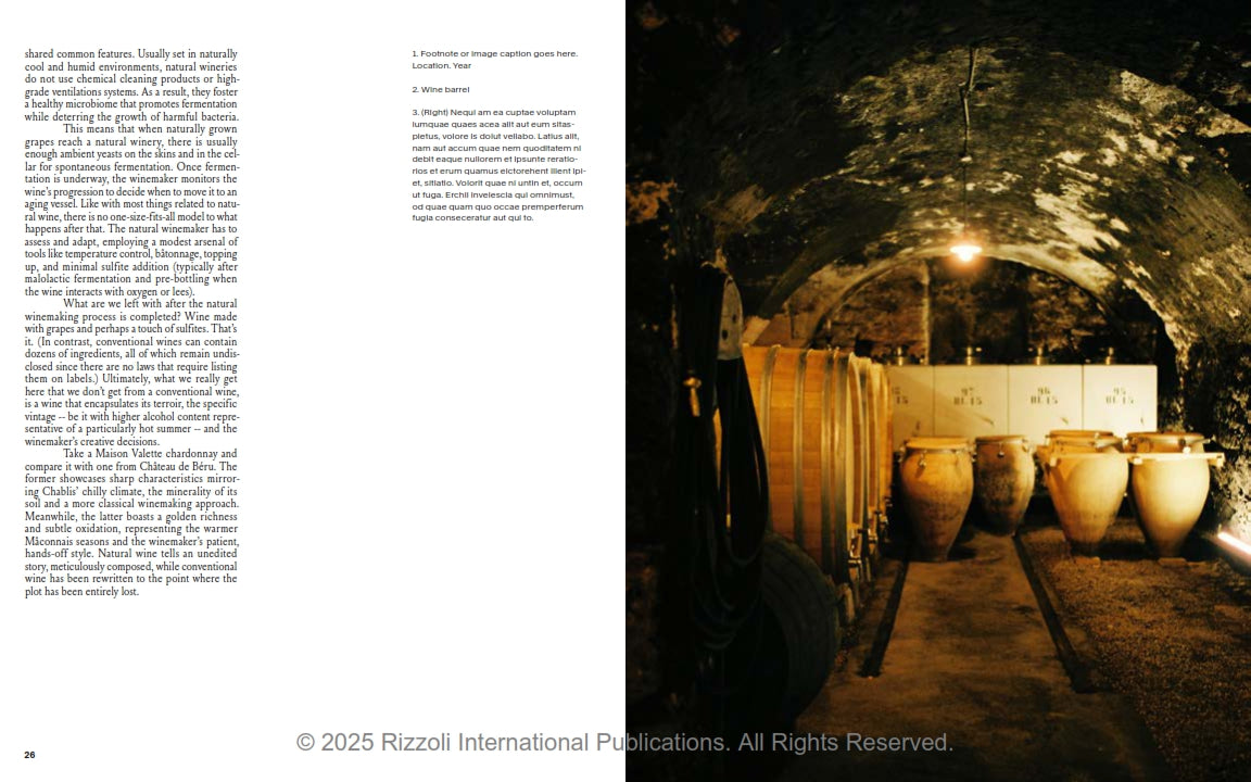 Spilled - Stories and Recipes from Natural Winemakers