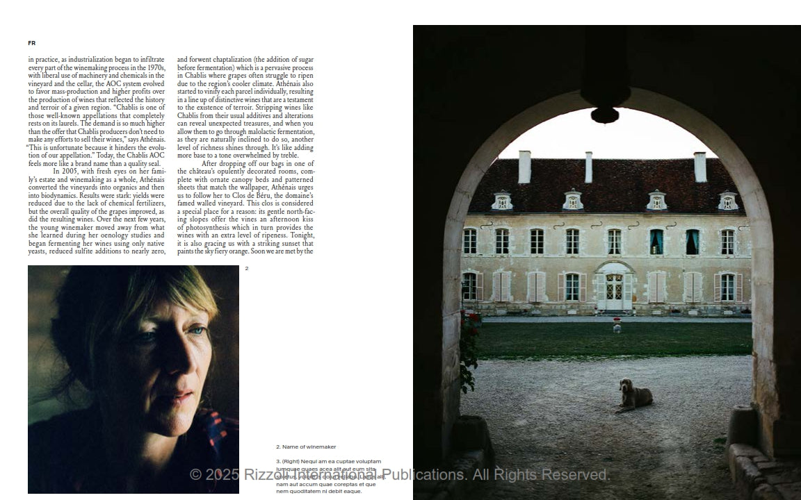 Spilled - Stories and Recipes from Natural Winemakers