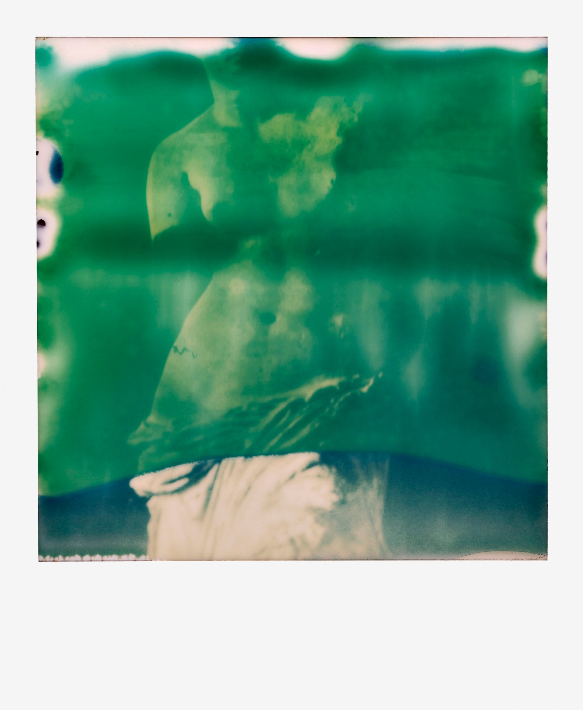 Francois Halard: Art & Flowers