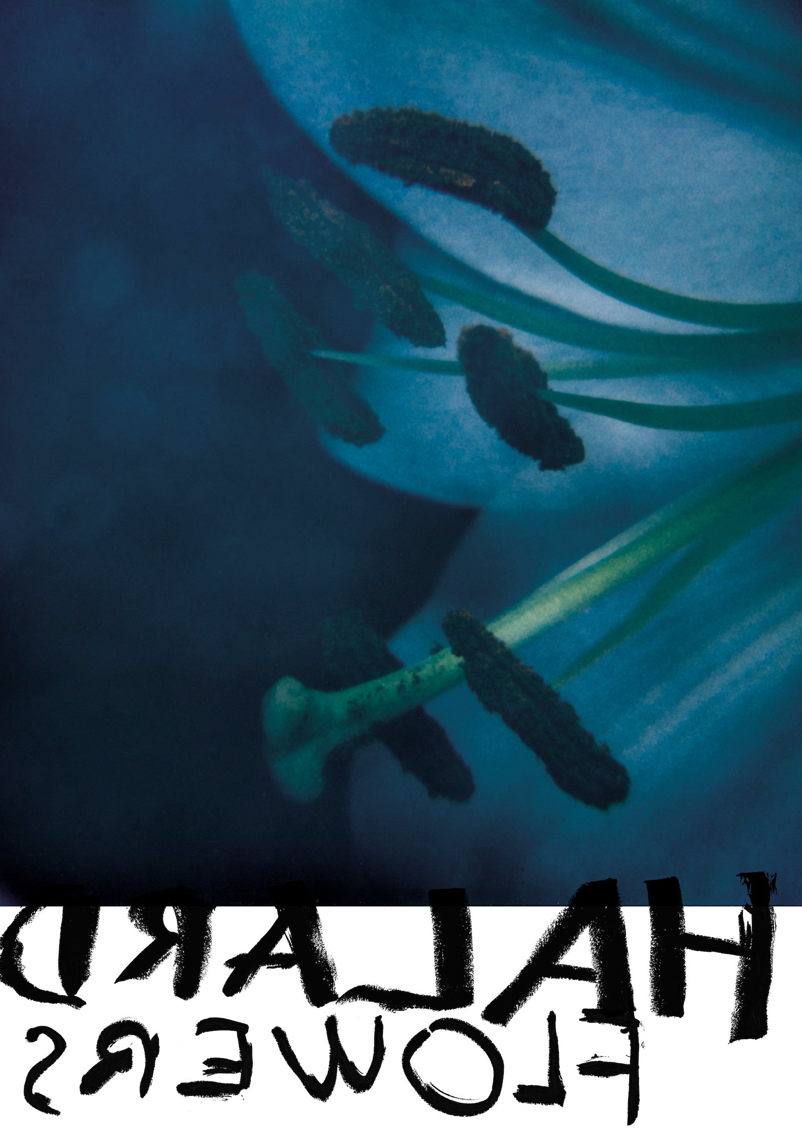 Francois Halard: Art & Flowers