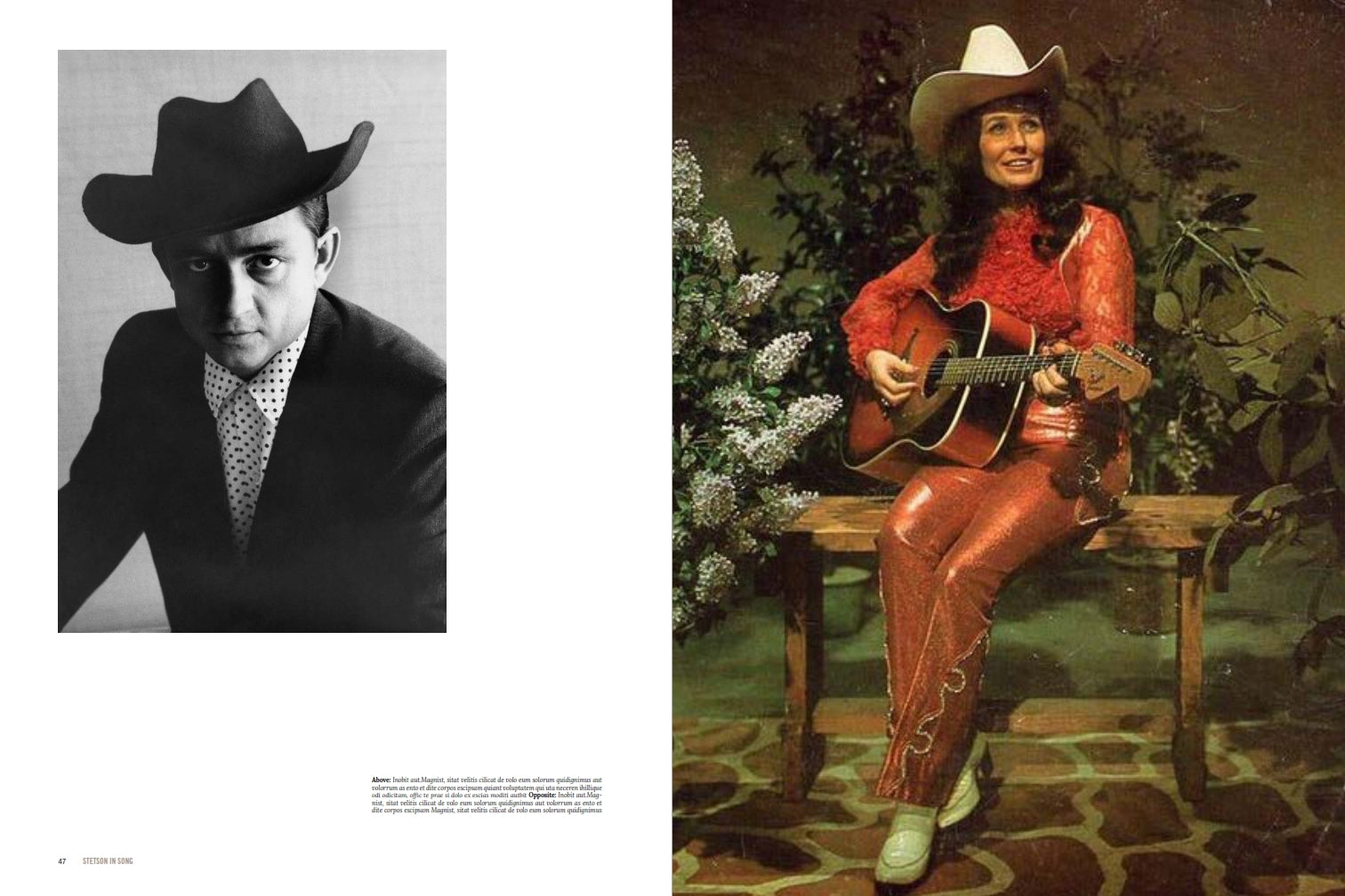 Stetson - American Icon