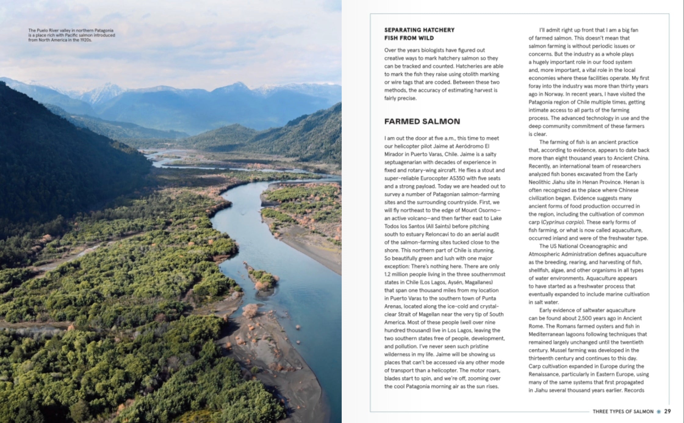 The Complete Guide to Salmon