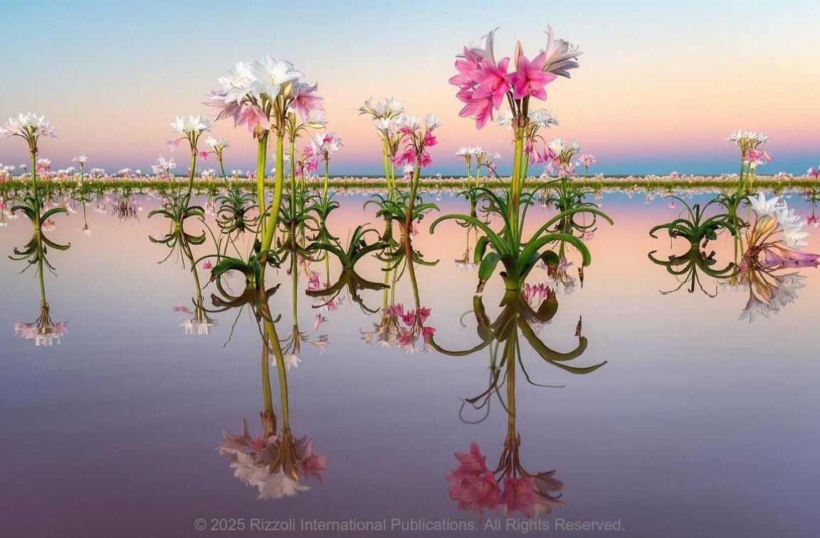 Flora Culture