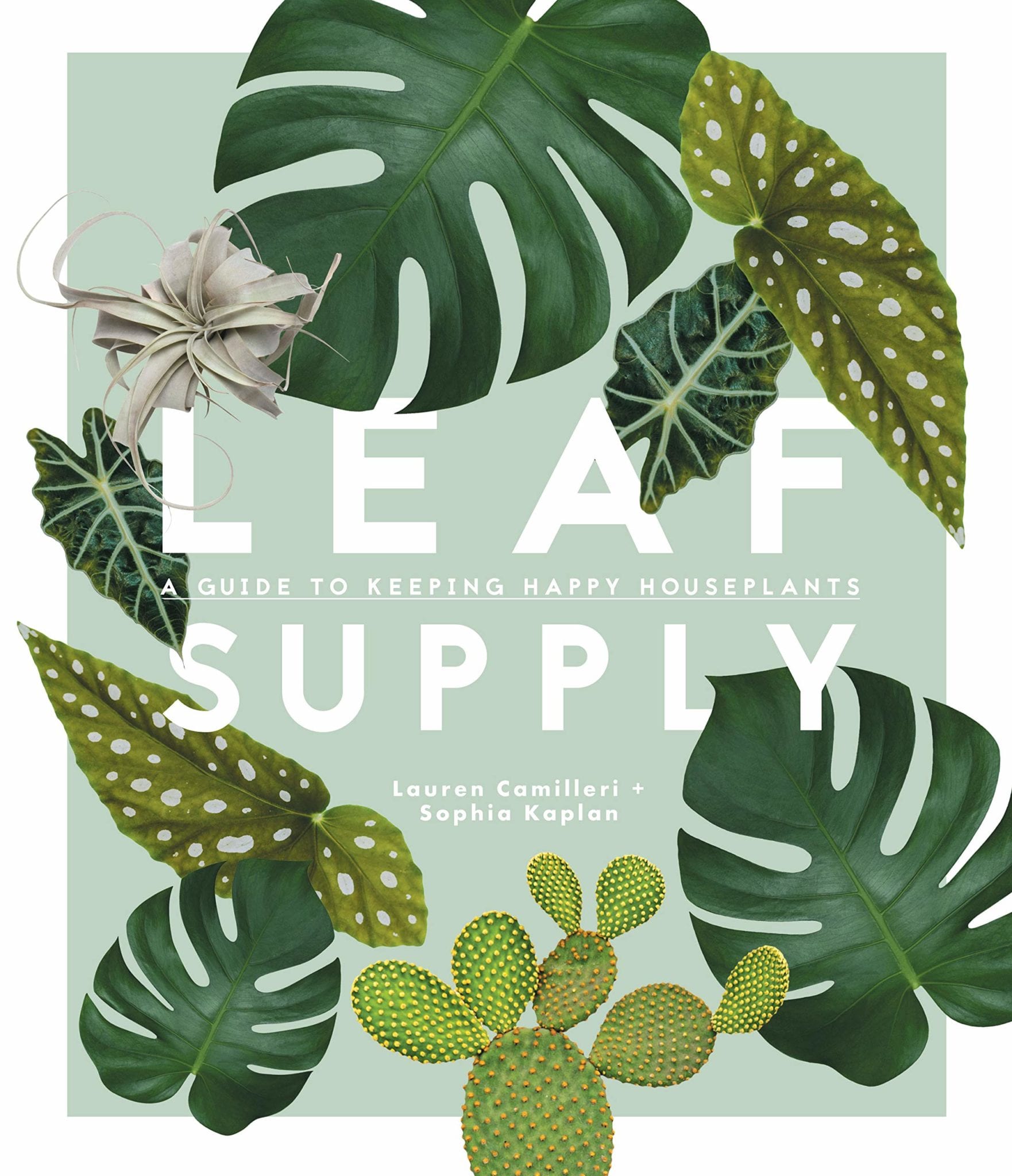 indoor plant supply Leaf Supply