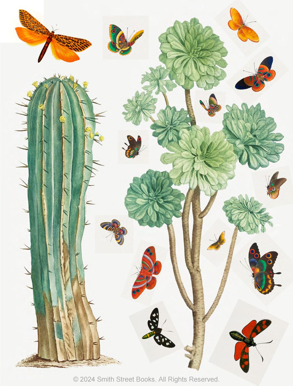 Cut-out Curiosities - Botanica