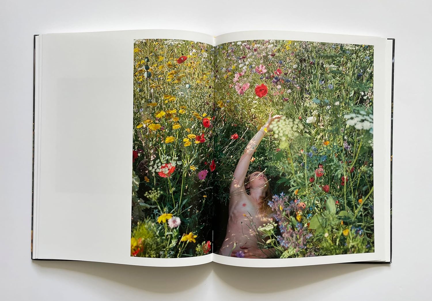 Siân Davey - The Garden
