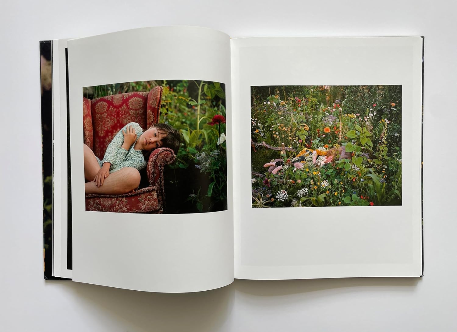 Siân Davey - The Garden