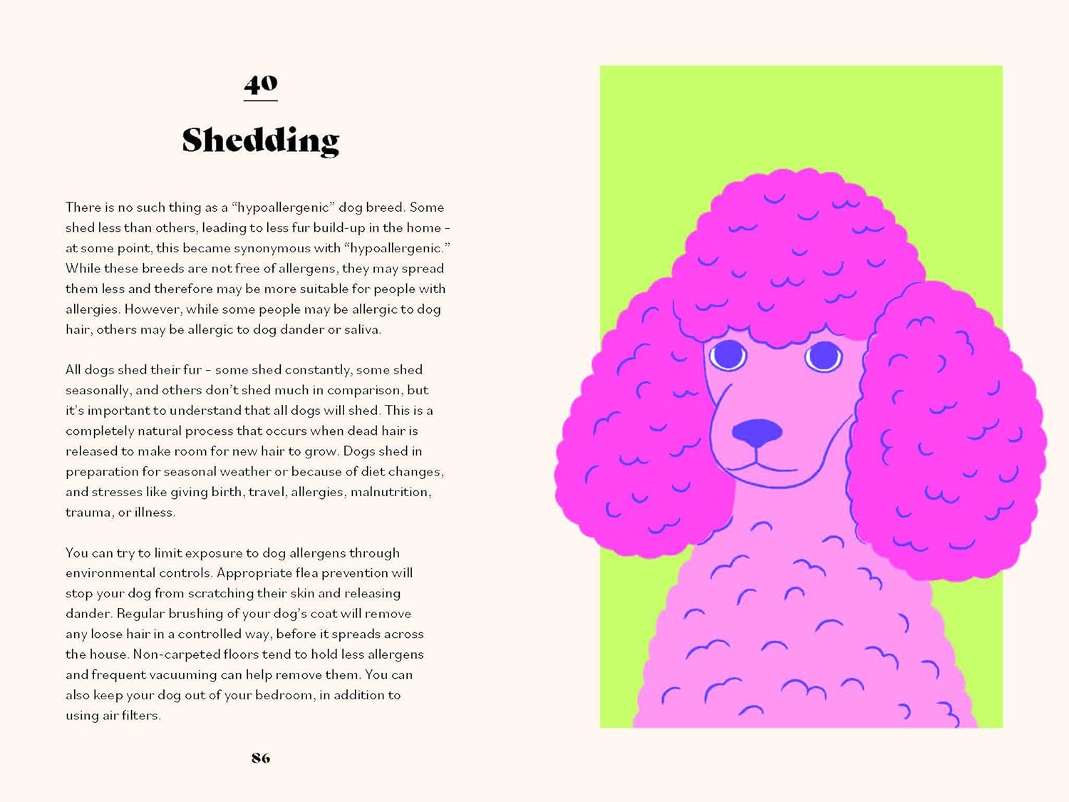 The Ultimate Guidebook for Dog Owners