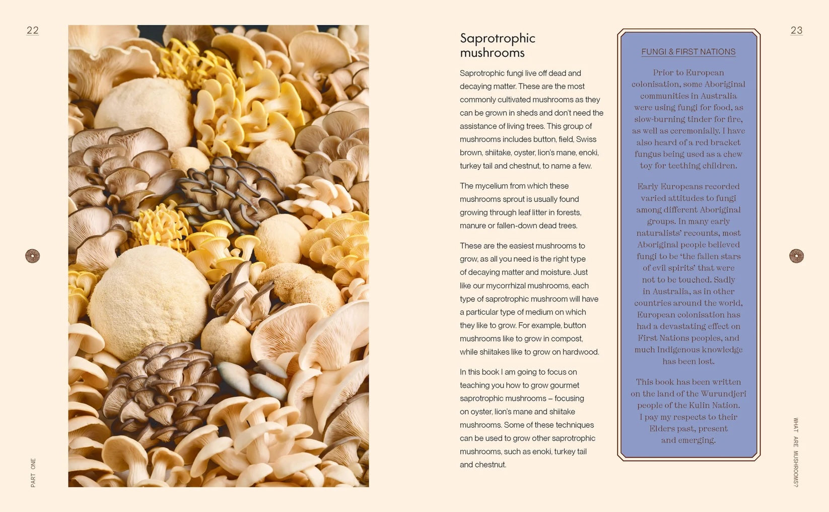 The Mushroomery