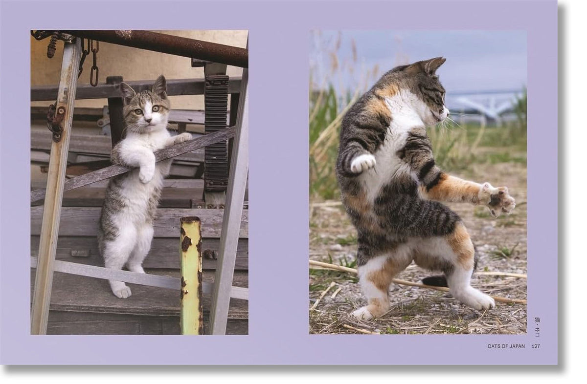 NEKO - Cats of Japan