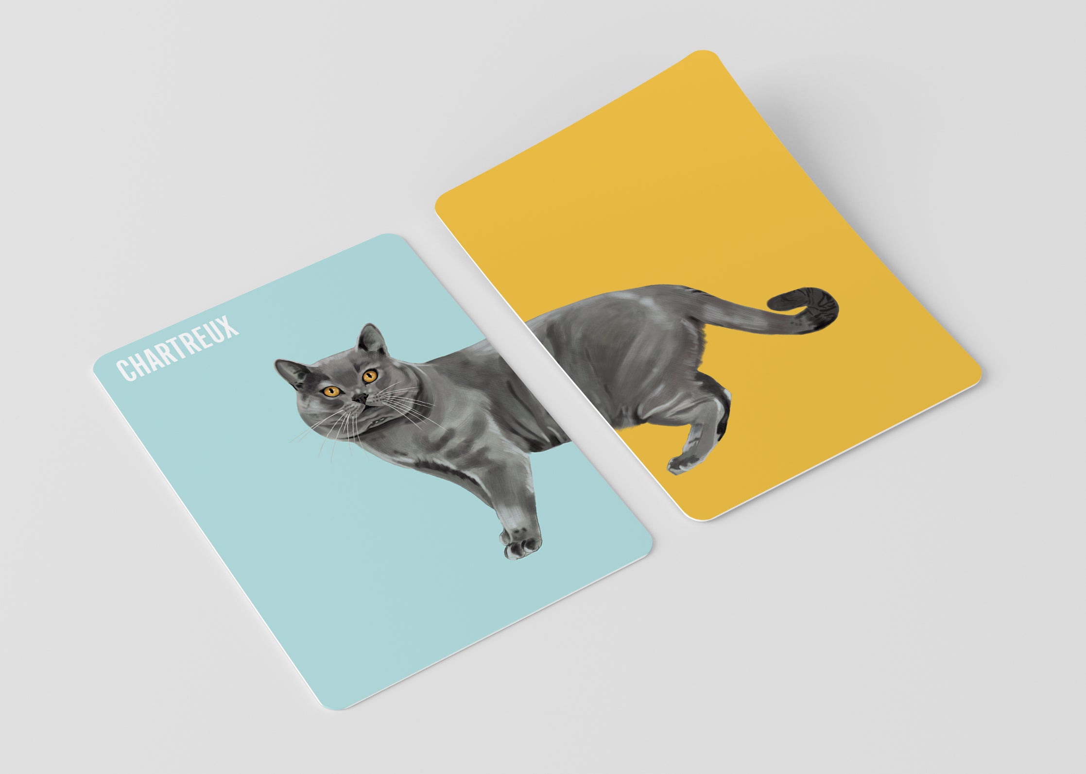 Heads & Tails - Cats