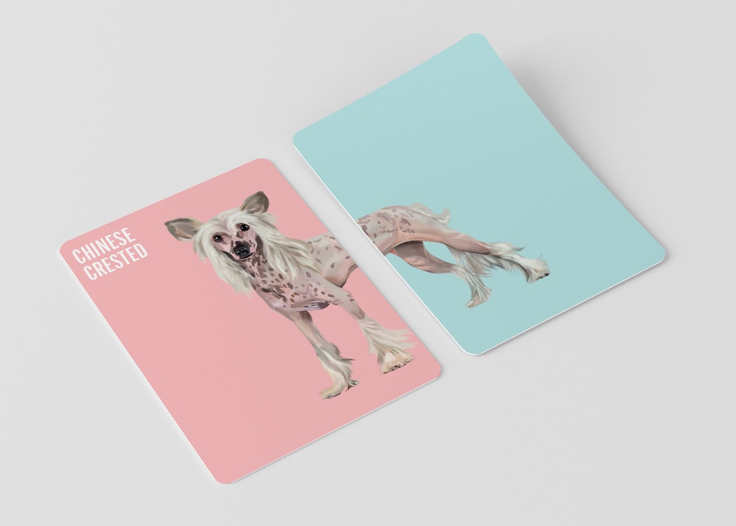 Heads & Tails - Dogs