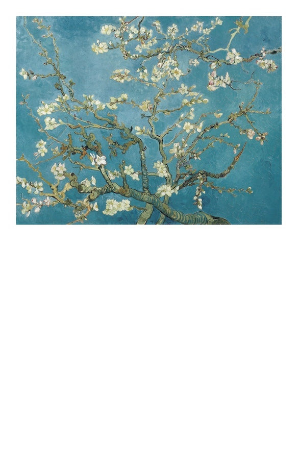 Vincent Van Gogh - 50 Masterpieces Explored