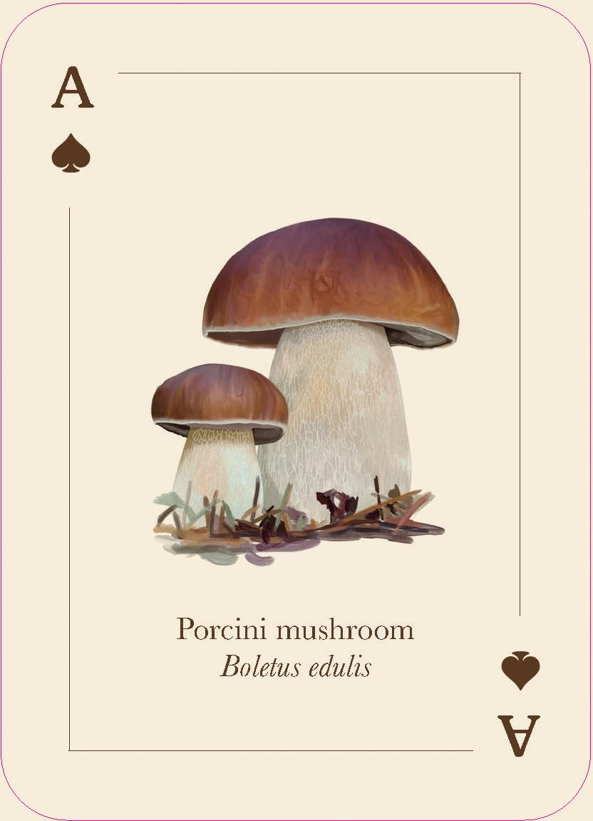 Mushrooms of the Wild