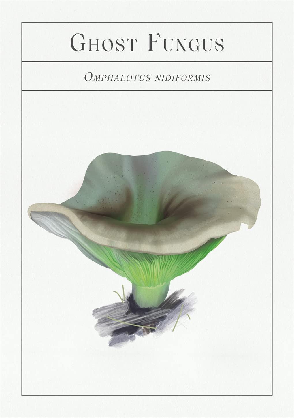 The Deck of Mushrooms