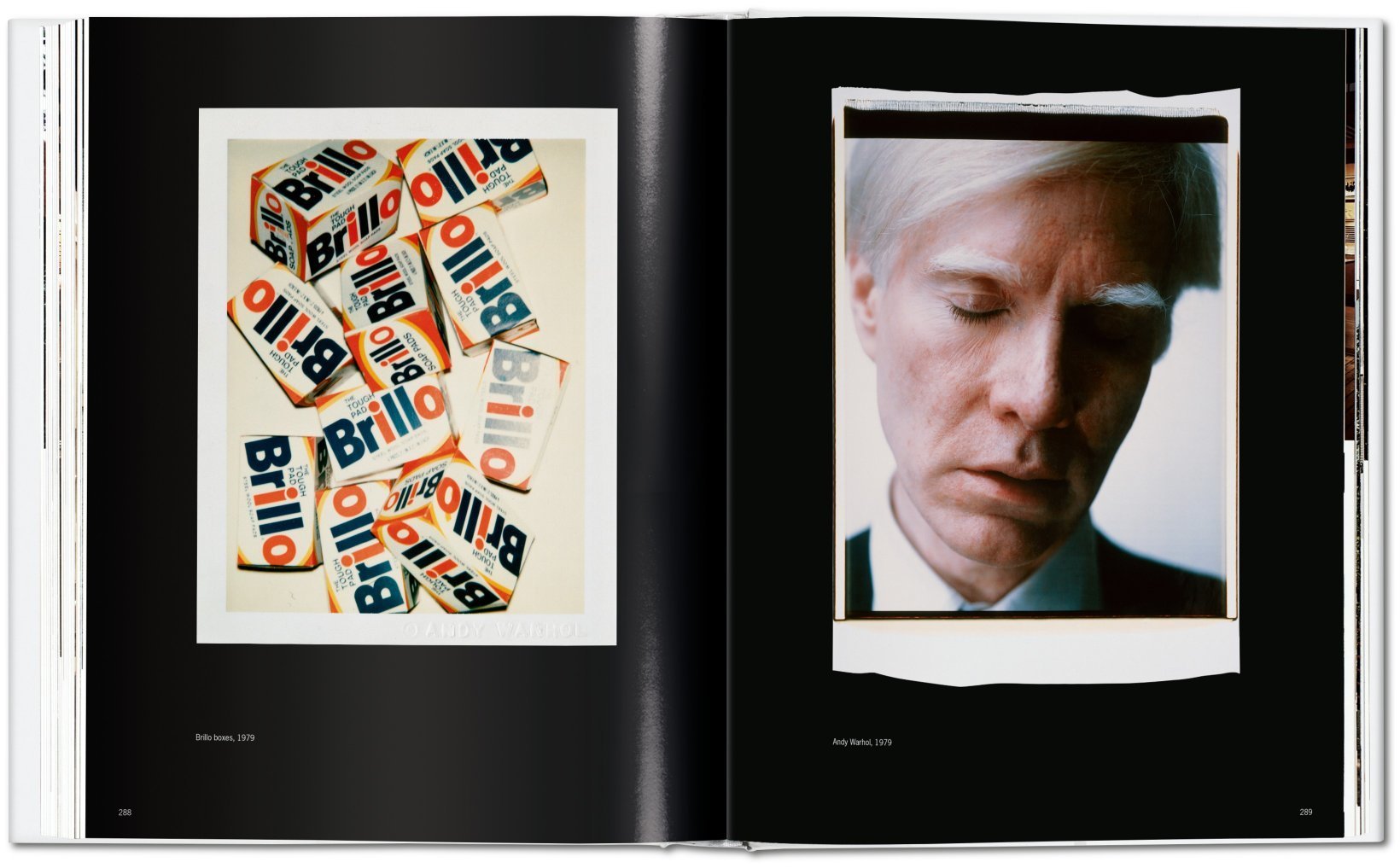 Andy Warhol - Polaroids