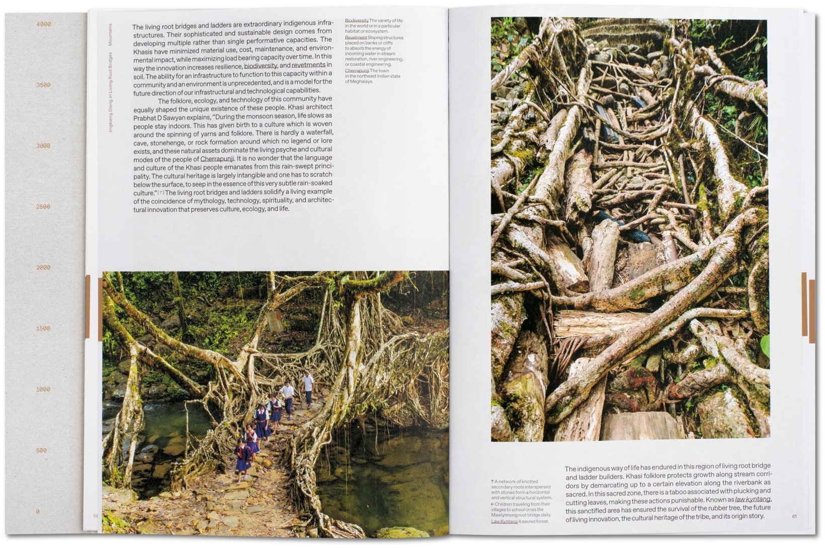 Lo-TEK, Design by Radical Indigenism