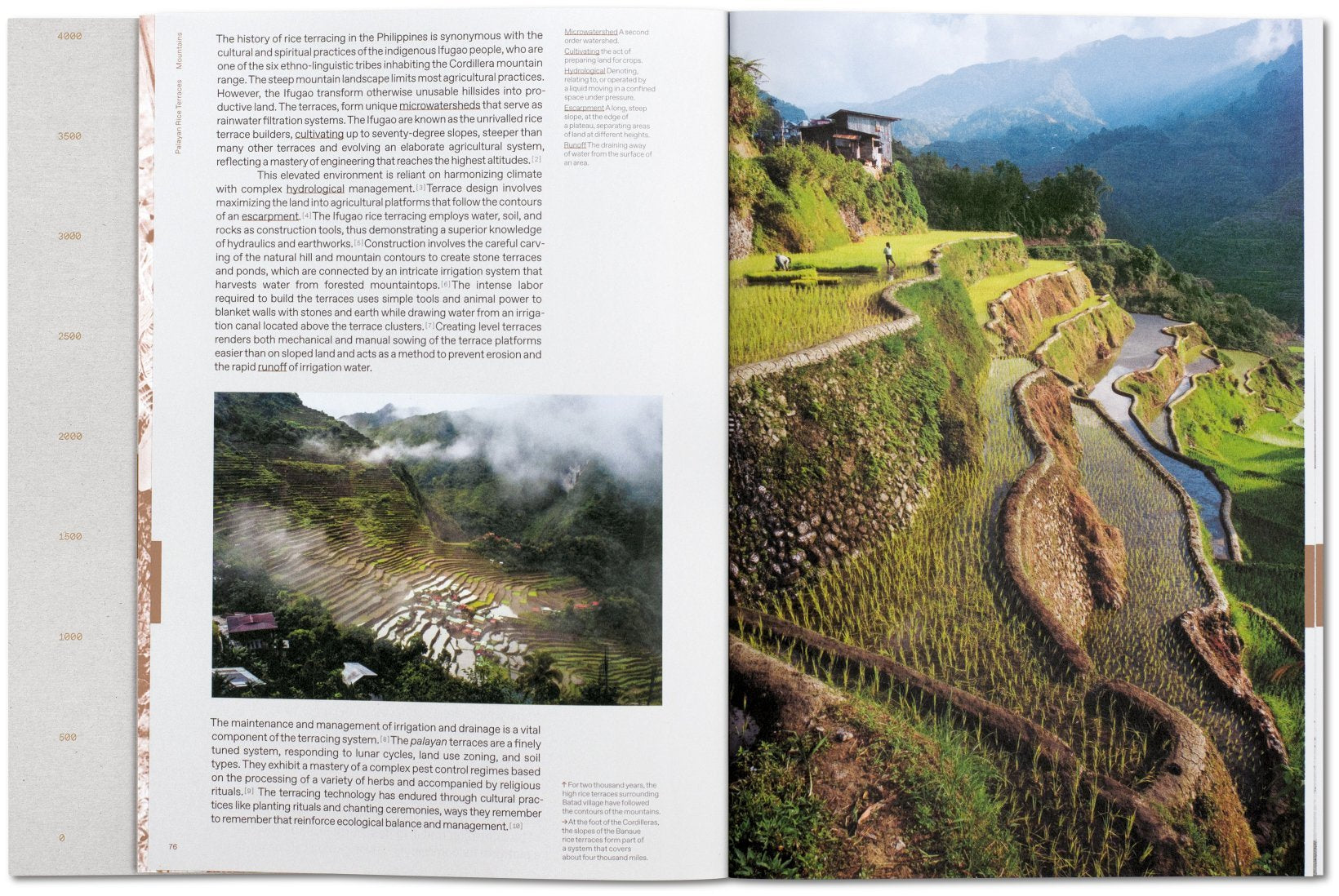 Lo-TEK, Design by Radical Indigenism