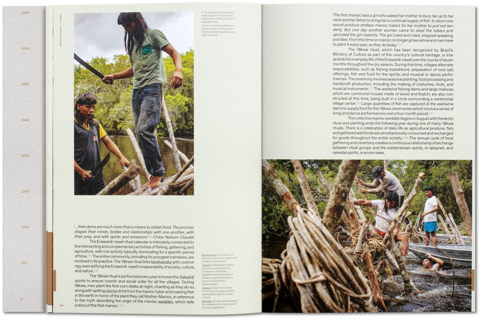 Lo-TEK, Design by Radical Indigenism