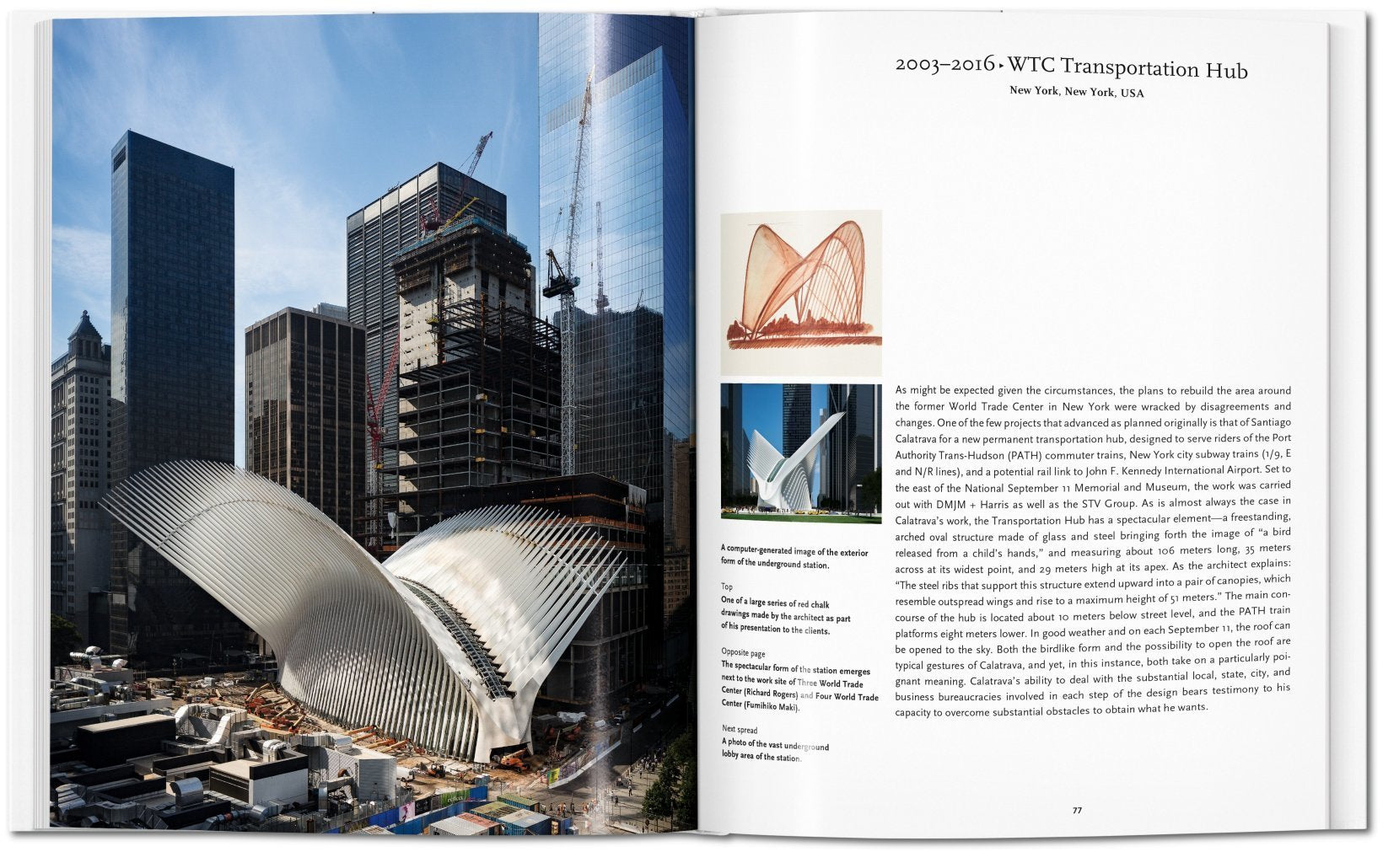 Calatrava - Basic Art Series