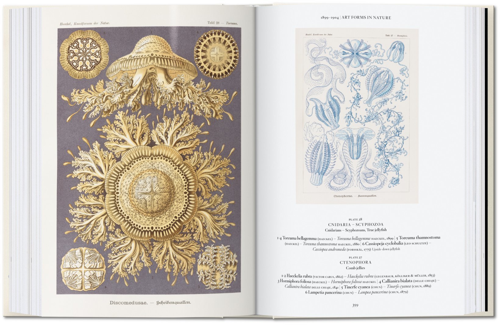 Ernst Haeckel – 40th Edt.