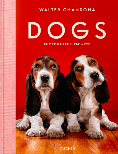 Dogs. Walter Chandoha. Photographs 1941–1991