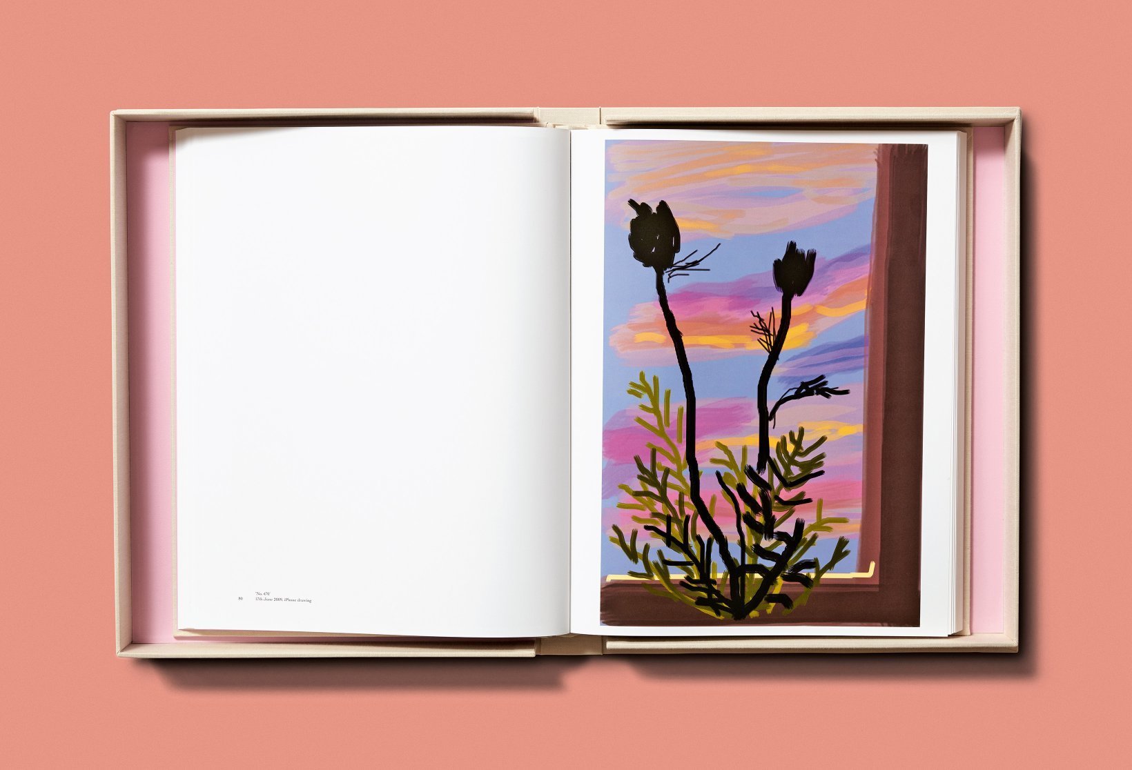 David Hockney. My Window. (Baby Sumo)