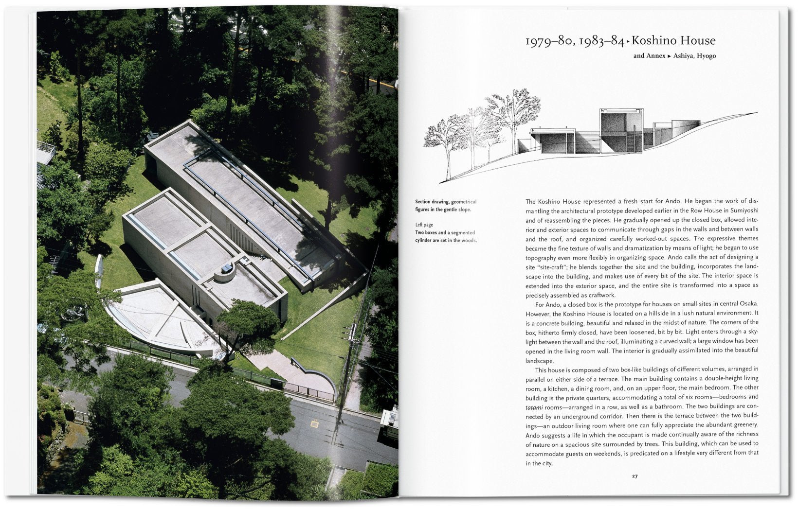 Ando - Basic Art Series