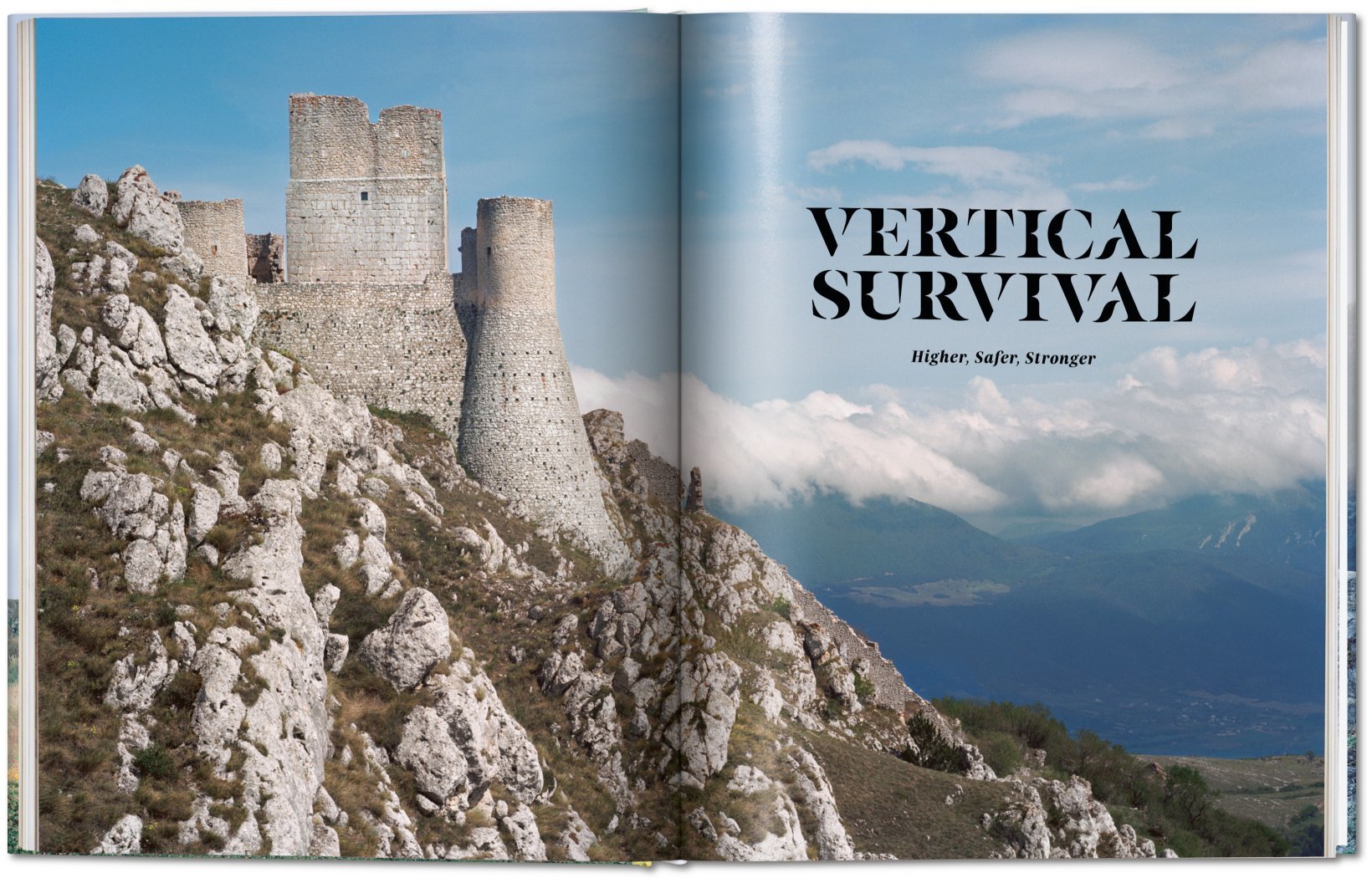 Frédéric Chaubin. Stone Age.