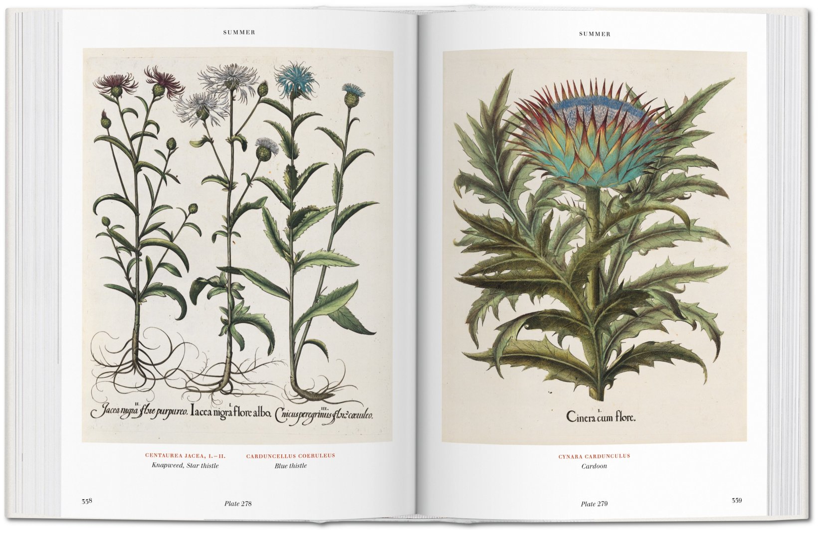 Florilegium. The Book of Plants