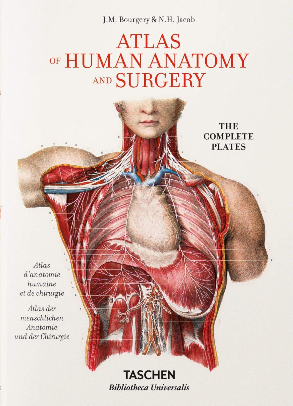 Atlas of Human Anatomy