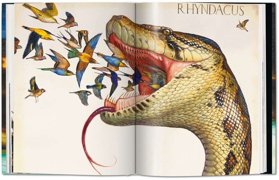 Walton Ford. Pancha Tantra