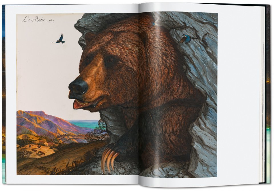 Walton Ford. Pancha Tantra