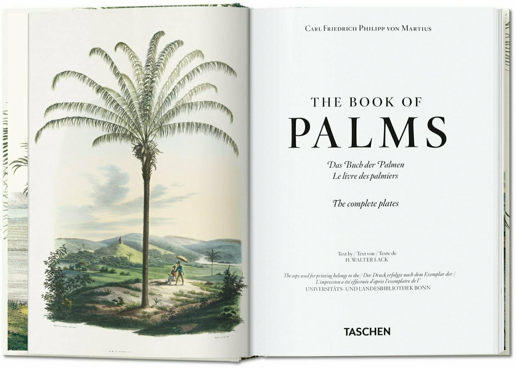 The Book of Palms - 40th Edt.