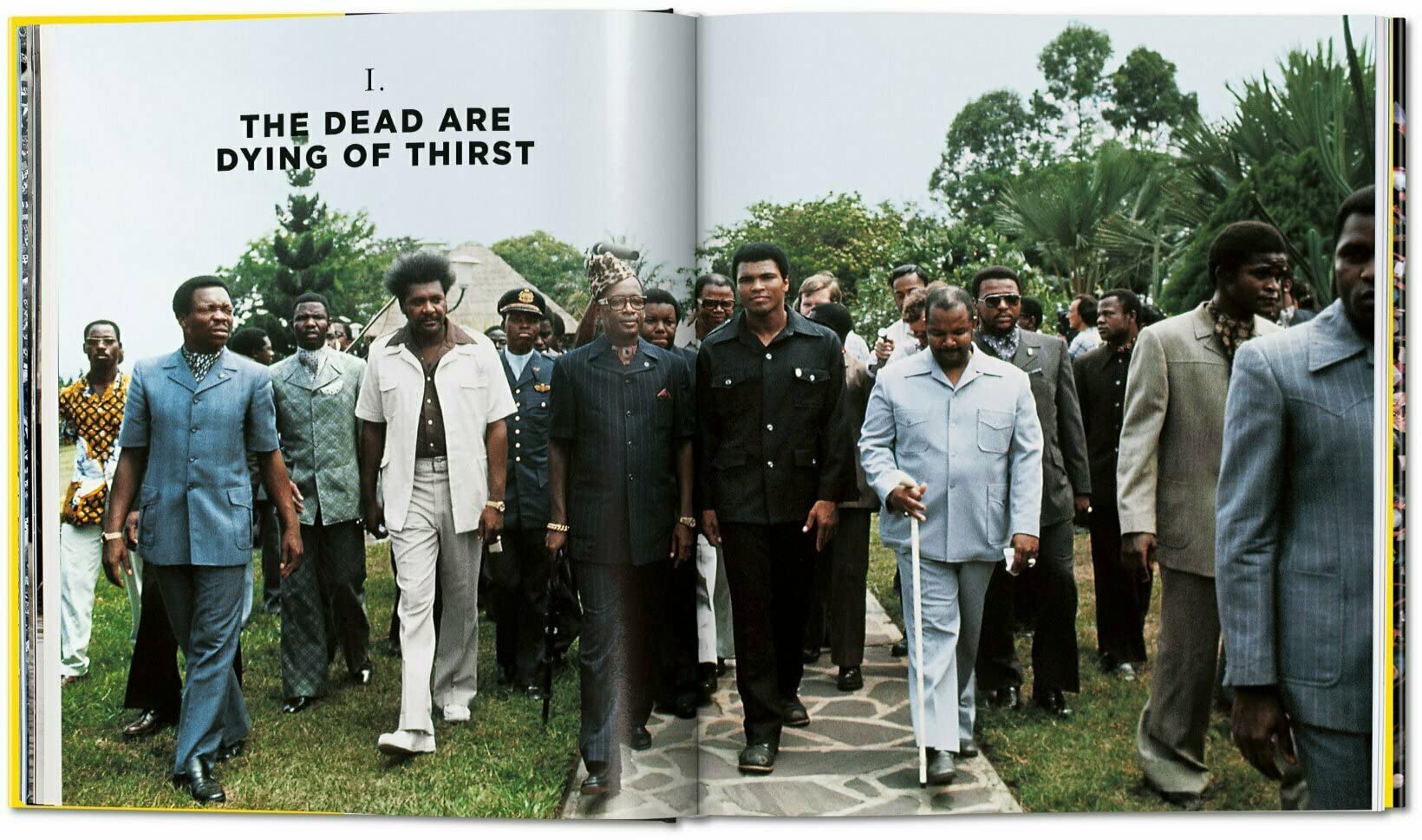 The Fight. Norman Mailer.