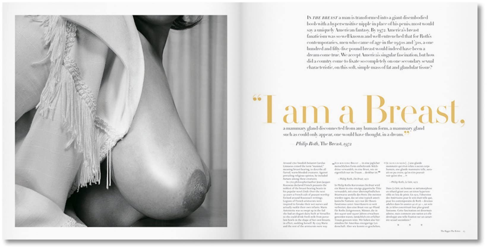 The Big Book of Breasts