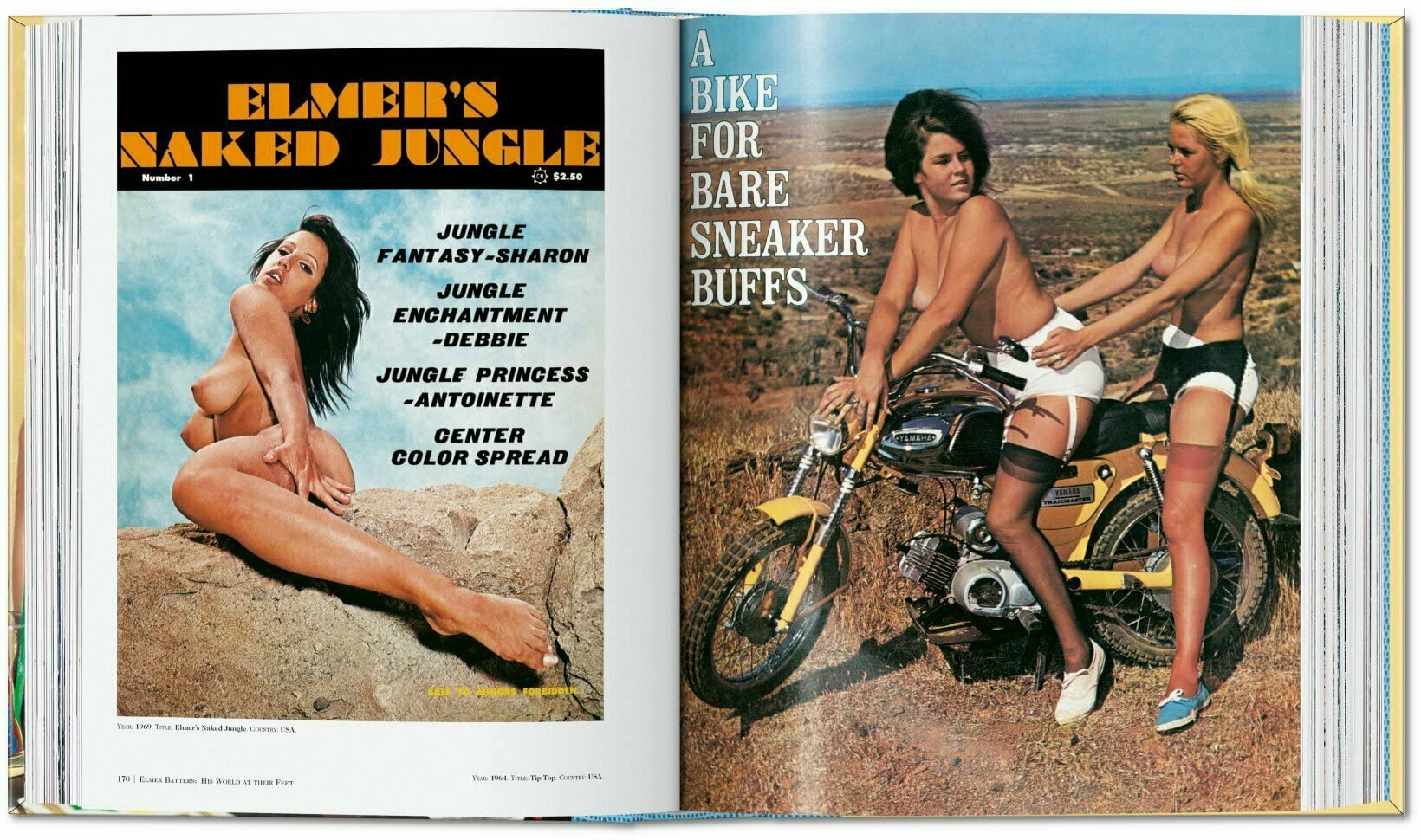 Dian Hanson’s: The History of Men’s Magazines. Vol. 4: 1960s Under the Counter