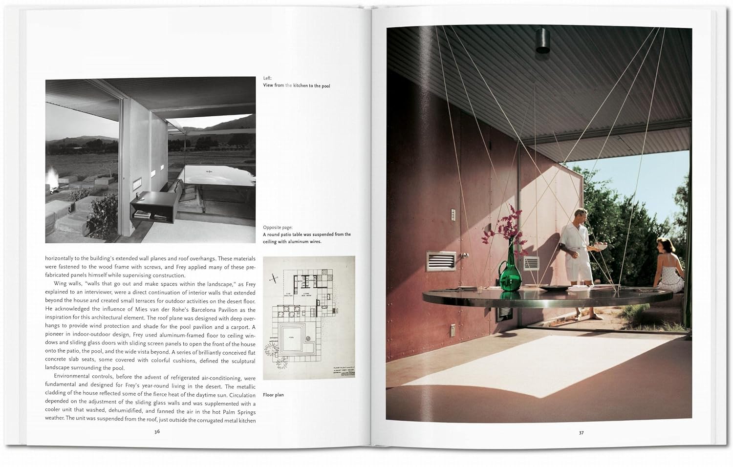 Albert Frey - Basic Art Series