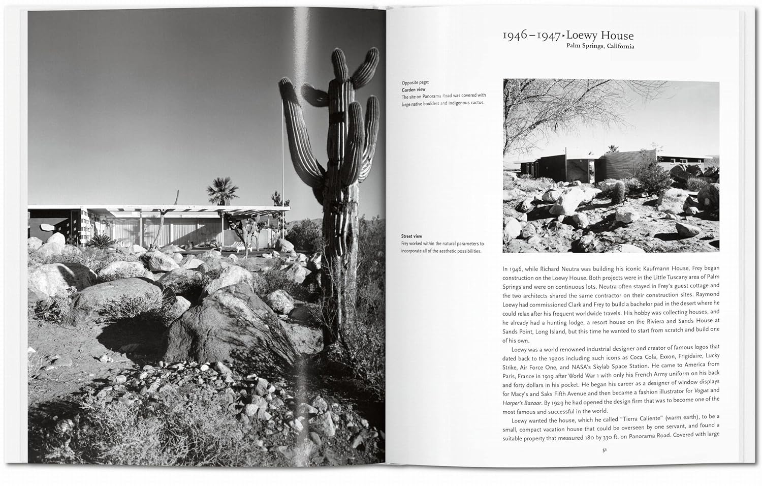 Albert Frey - Basic Art Series