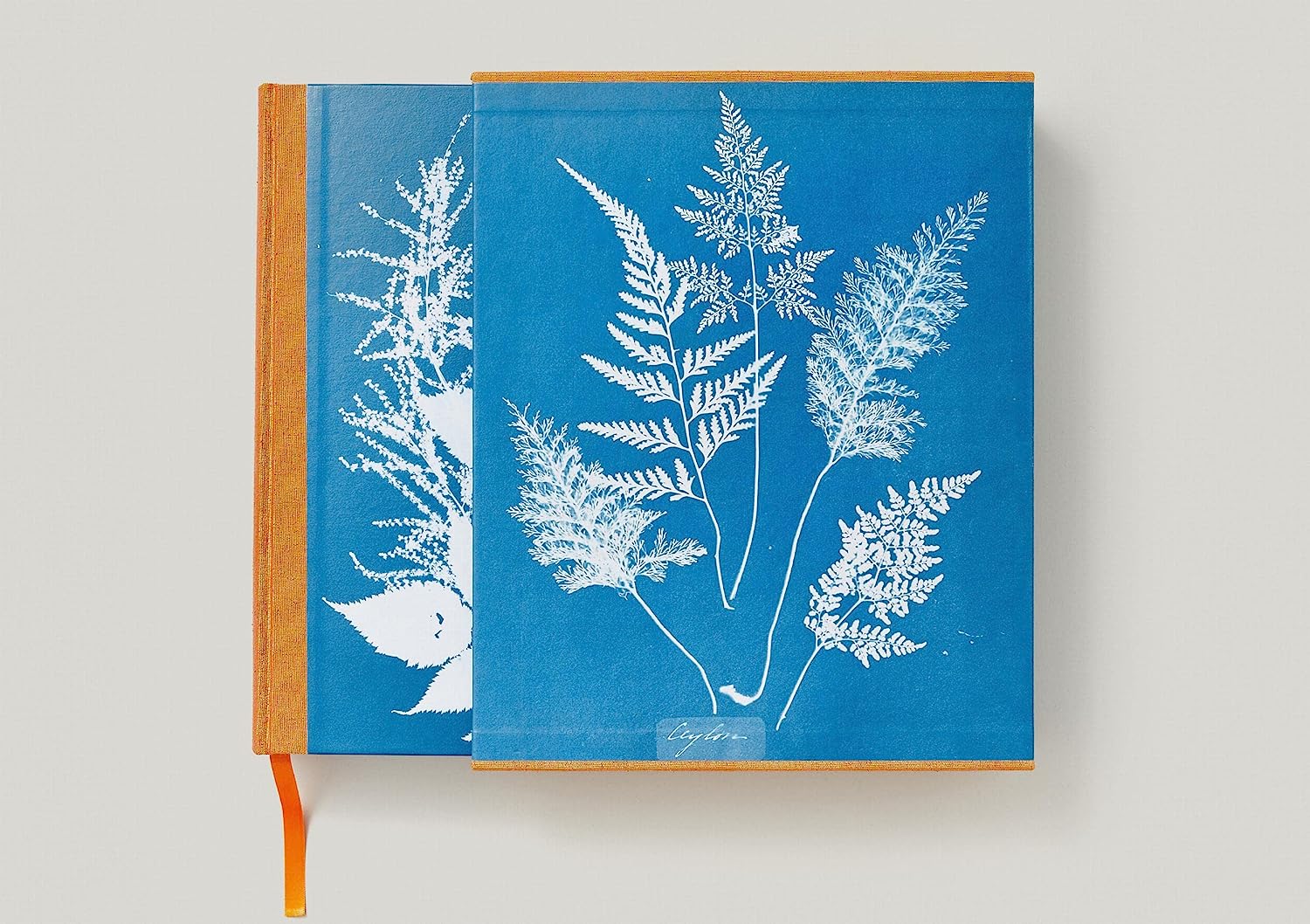Anna Atkins - Cyanotypes