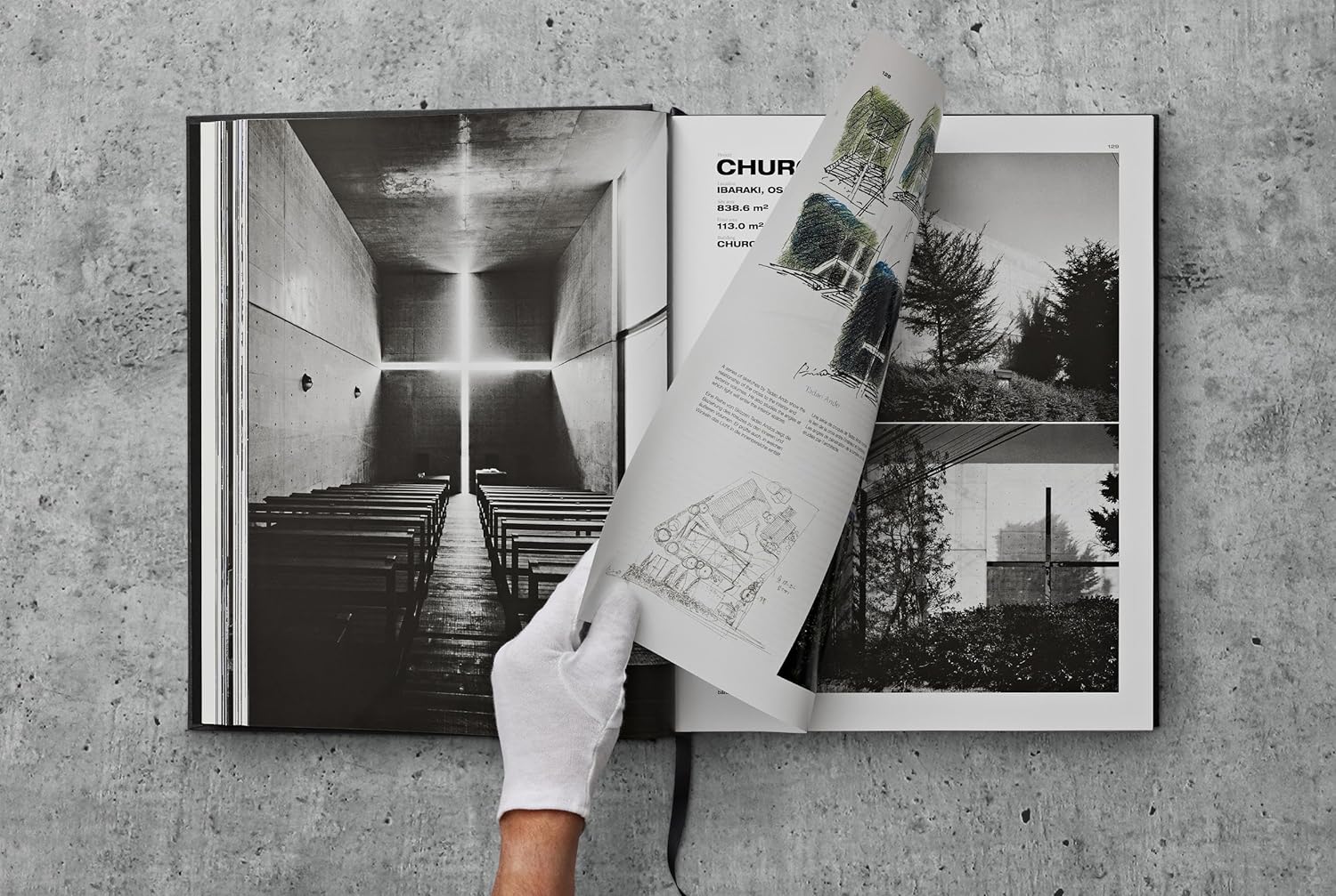 Ando. Complete Works 1975–Today. 2023 Edition - XL