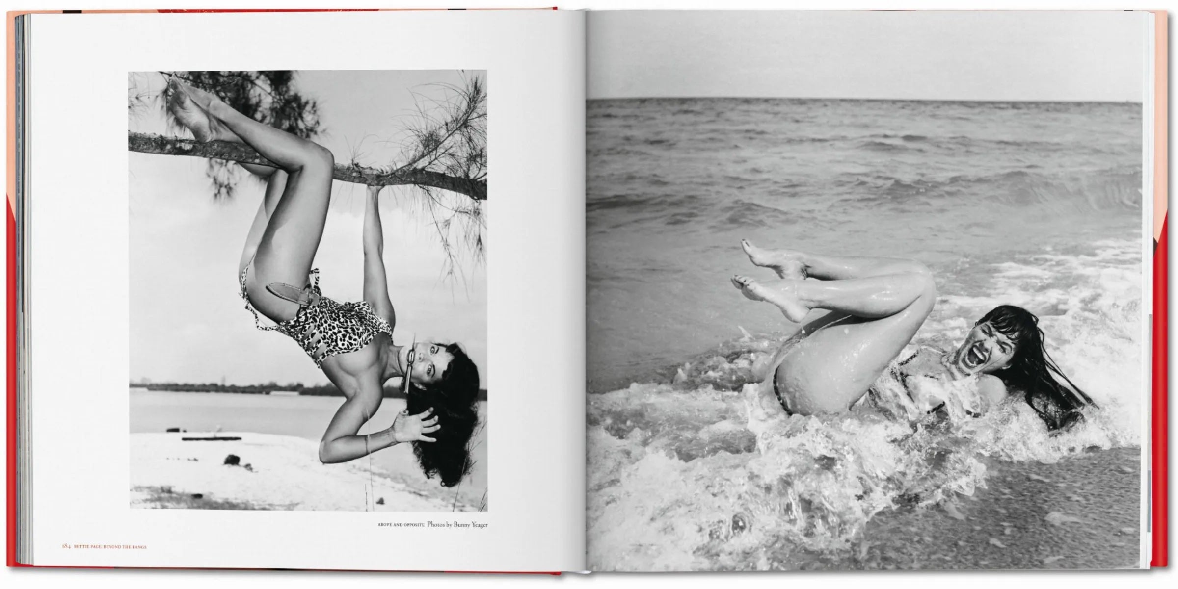 The Big Book of Legs