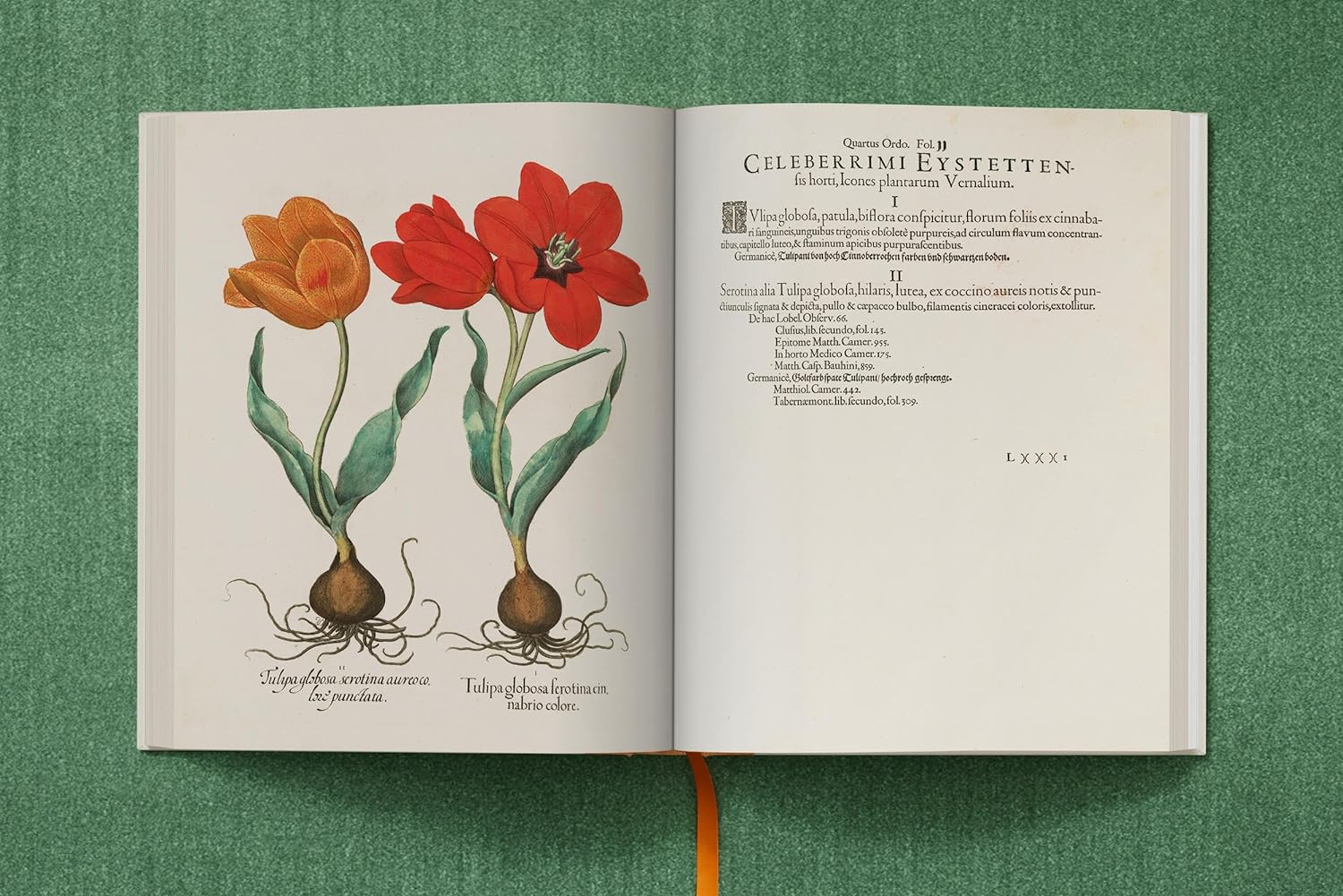 Basilius Besler. The Garden at Eichstätt