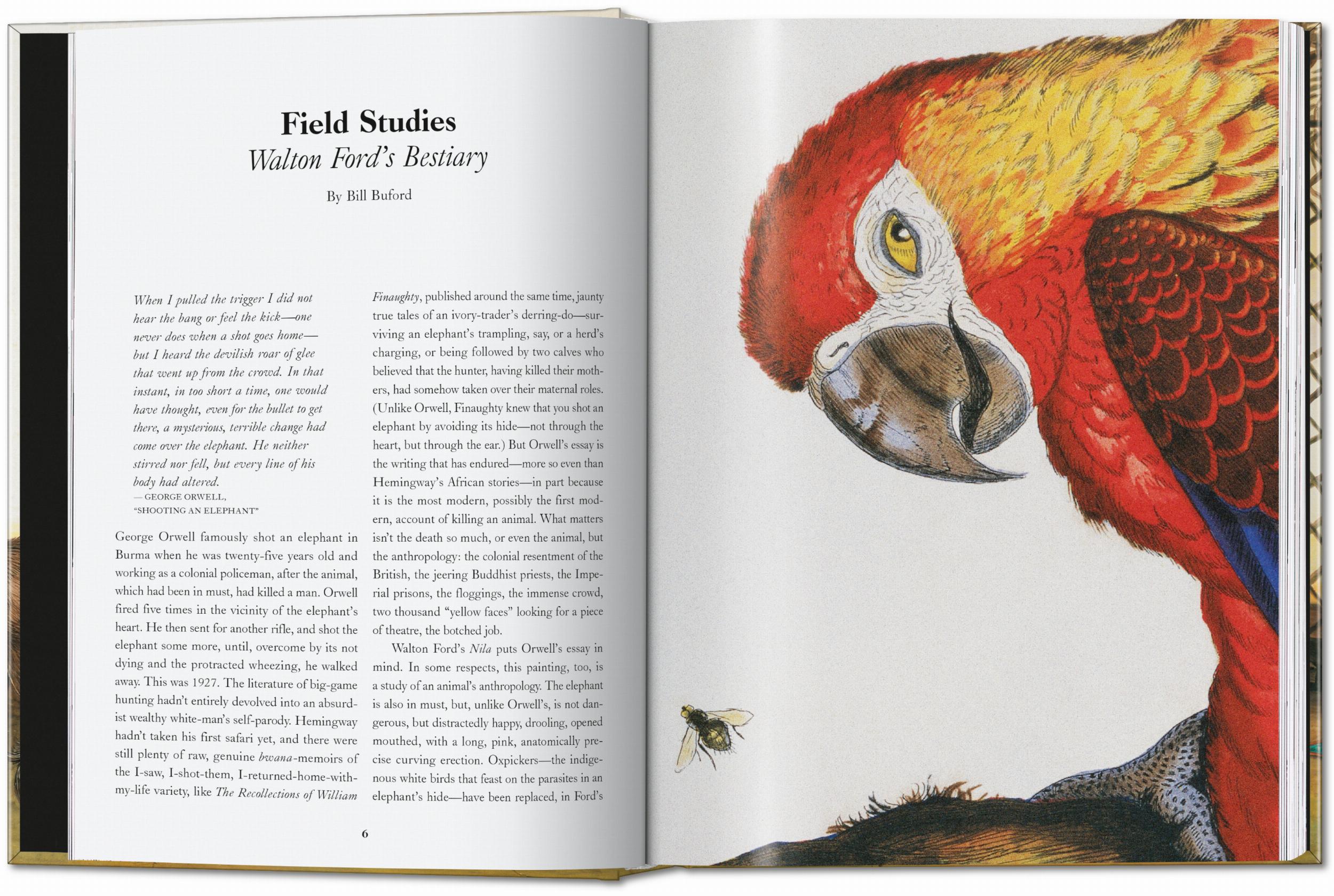 Walton Ford. 40th Edt.