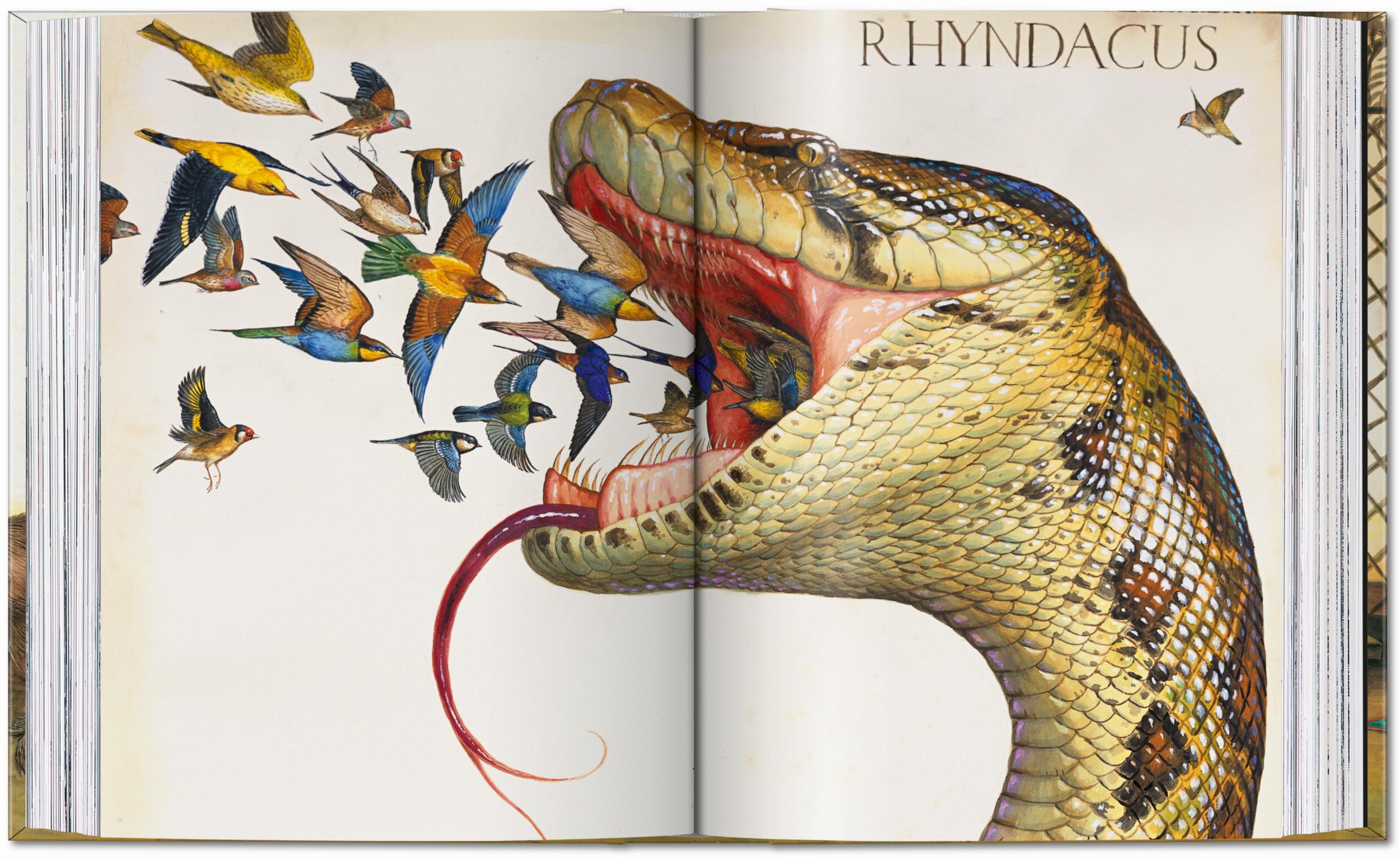 Walton Ford. 40th Edt.