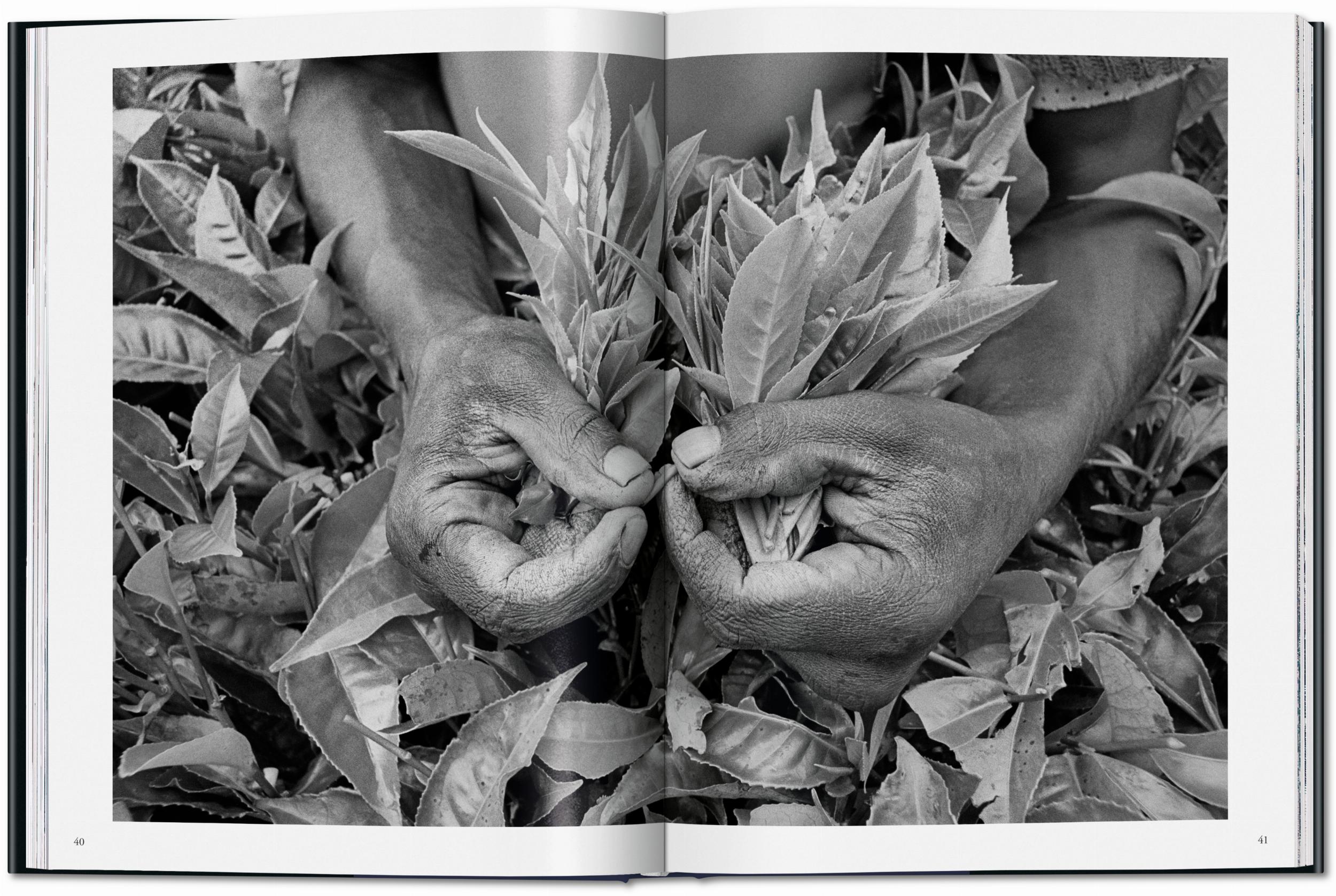 Sebastião Salgado. Workers
