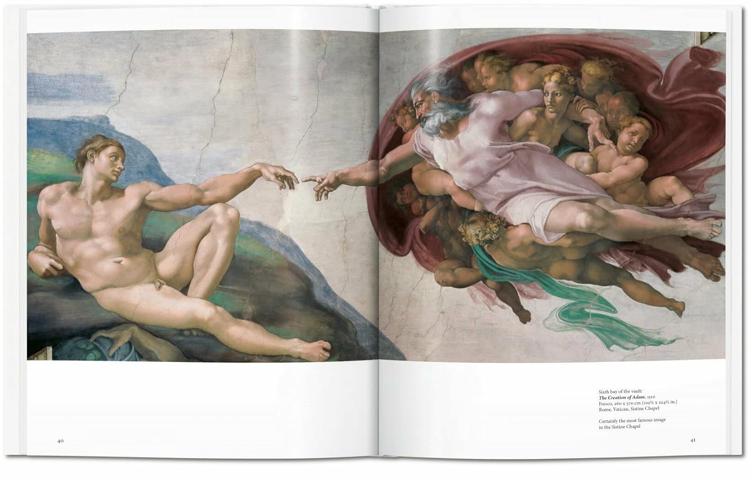 Michelangelo - Basic Art Series